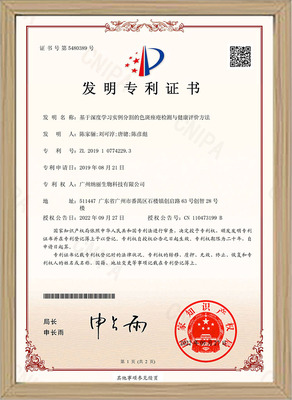 基于深度学习实例分割的色斑痤疮检测与健康评价方法